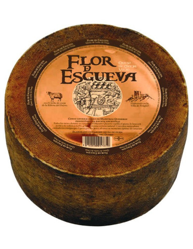 Tommette Flor de Esgueva Oliveras