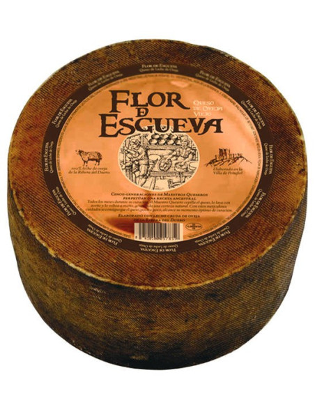 Tommette Flor de Esgueva Oliveras